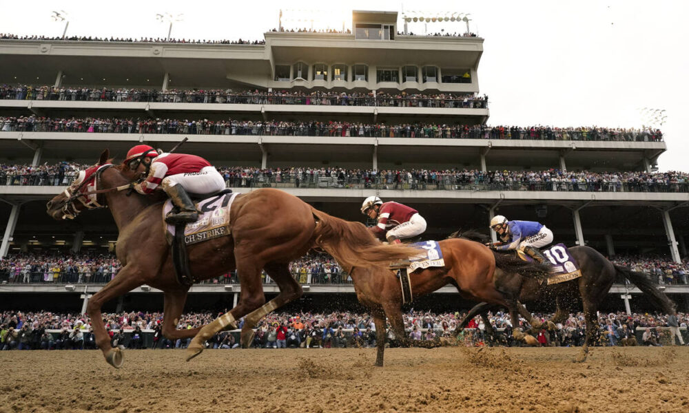 Preakness Stakes odds, horse-by-horse analysis
