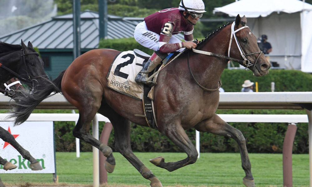 Travers Stakes odds, horse-by-horse analysis