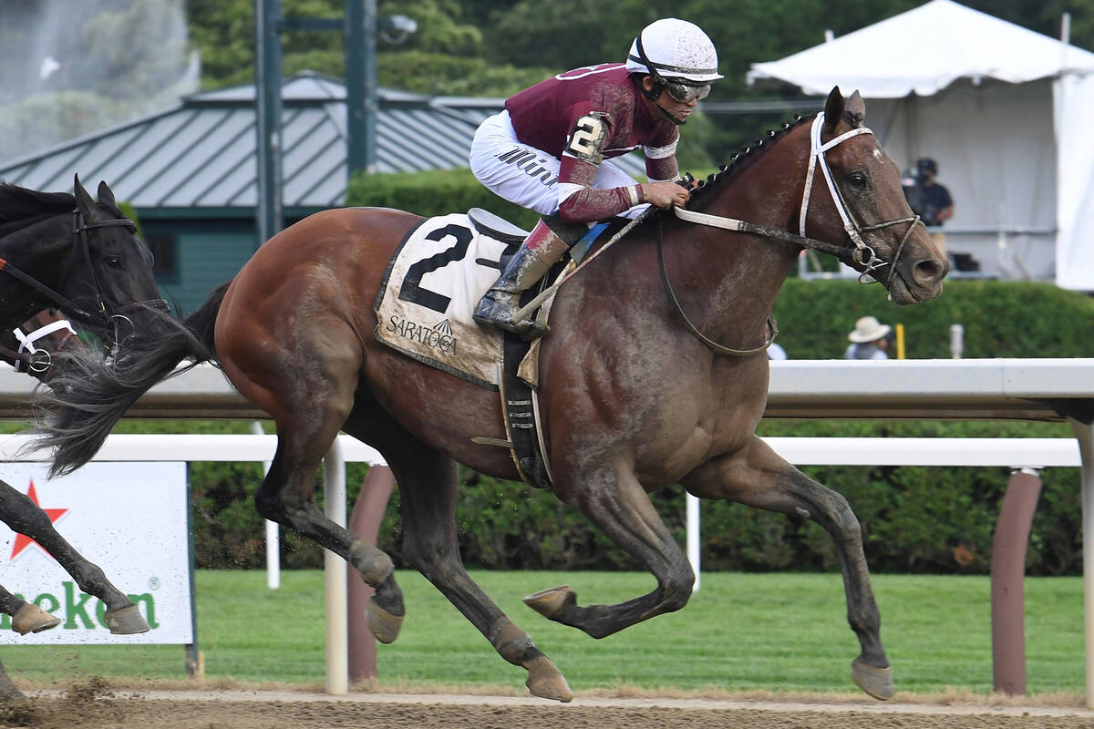 Travers Stakes odds, horsebyhorse analysis Fan Shotz