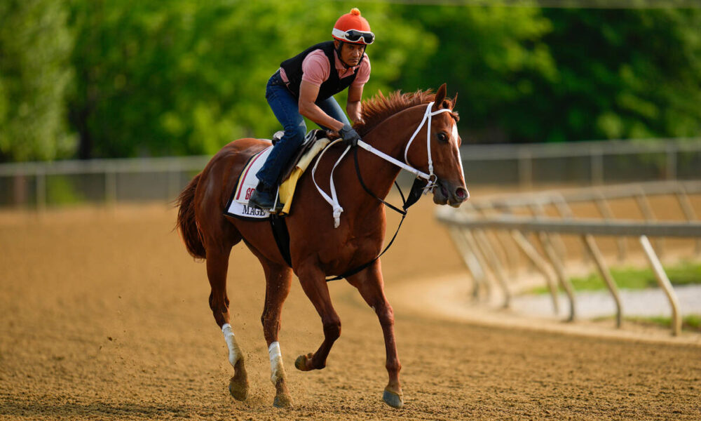 Preakness Stakes odds, horsebyhorse analysis Fan Shotz