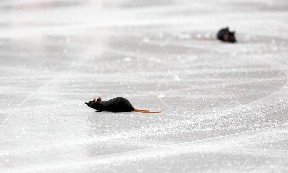 Florida Panthers fans throw fake rats on ice in long-standing tradition