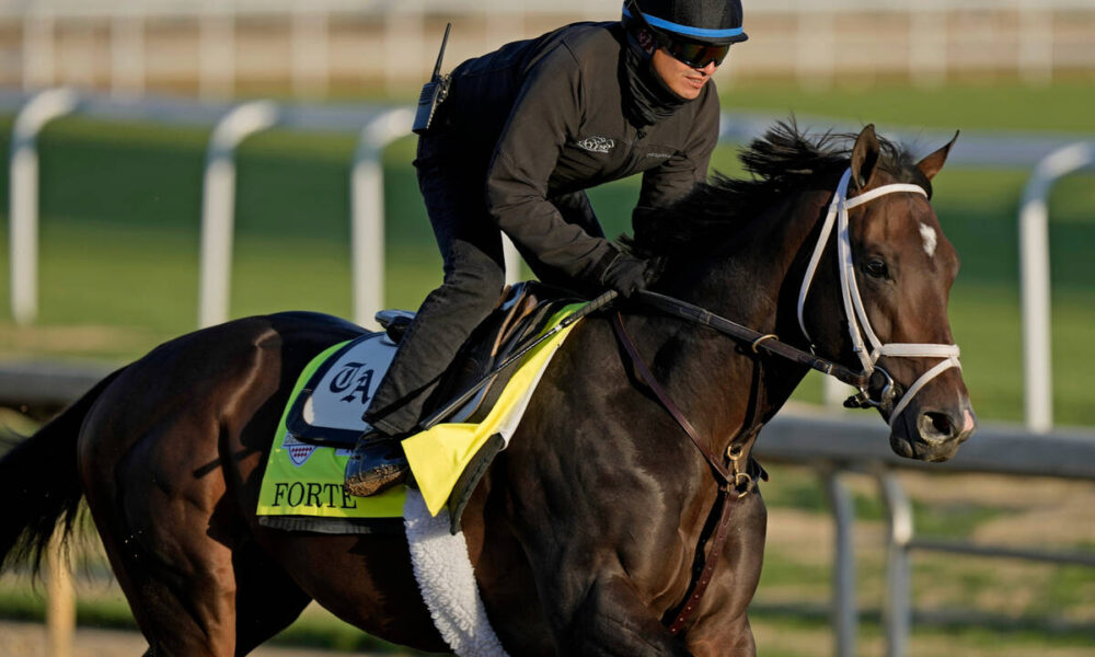 Travers Stakes betting odds, horse-by-horse analysis