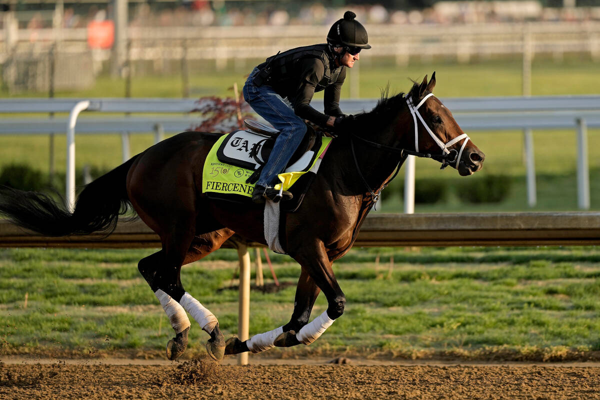 Fierceness is Kentucky Derby’s dominant horse, but questions remain | Betting