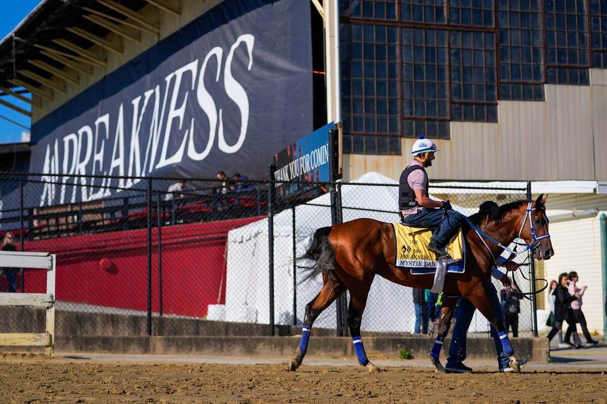 Preakness Stakes horses, odds, predictions, picks: Tuscan Gold to spring upset | Mike Brunker | Sports