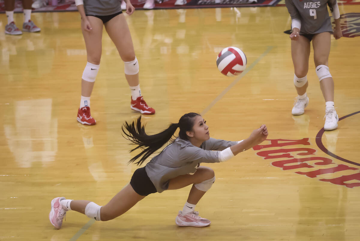 Nevada high school girls volleyball: Arbor View beats Palo Verde
